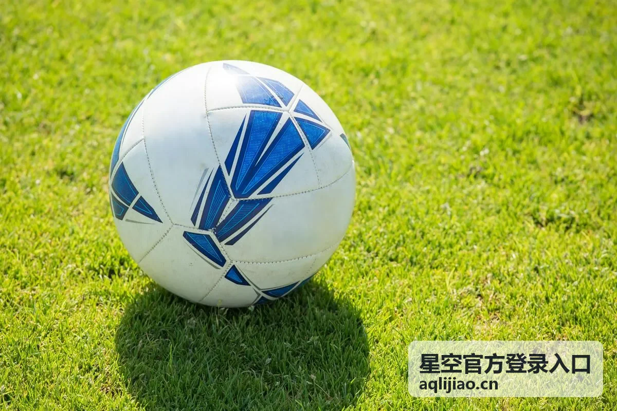 星空官方登录入口登录界面展示